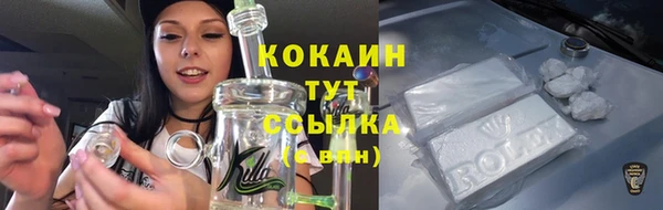 сатива Армянск