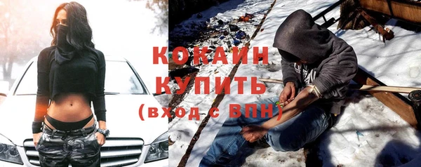 сатива Армянск