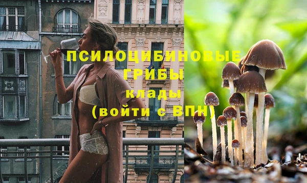 каннабис Арсеньев